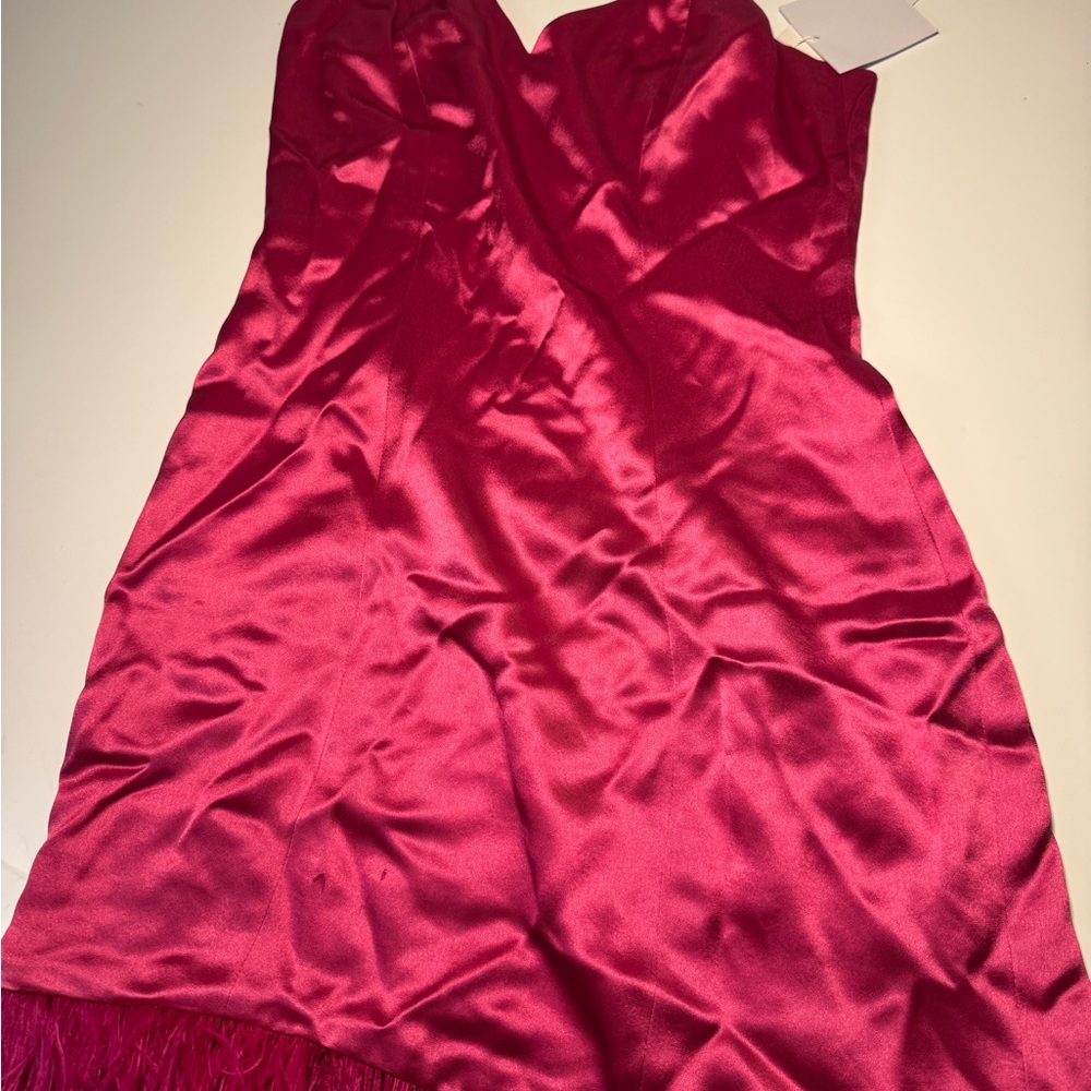 Cami NYC Roxanne feather dress
